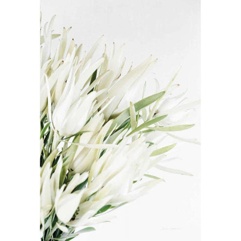 Leucadendron Gold Ornate Wood Framed Art Print with Double Matting by Catterall, Elise
