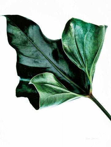 Monstera Black Ornate Wood Framed Art Print with Double Matting by Catterall, Elise