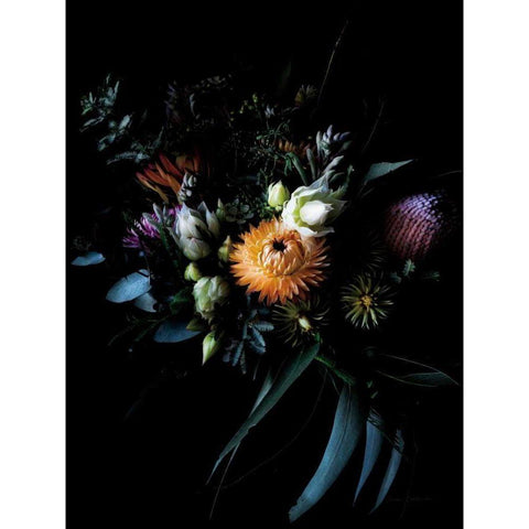 Native Collection Black Modern Wood Framed Art Print with Double Matting by Catterall, Elise