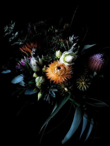 Native Collection Black Ornate Wood Framed Art Print with Double Matting by Catterall, Elise