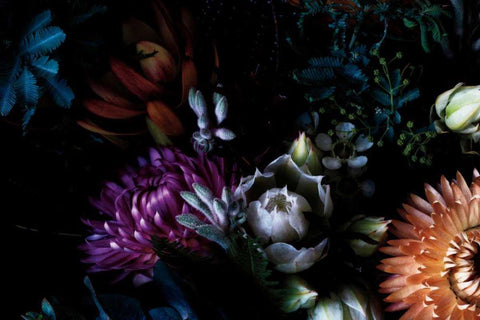 Paper Daisies and Blushing Brides White Modern Wood Framed Art Print with Double Matting by Catterall, Elise