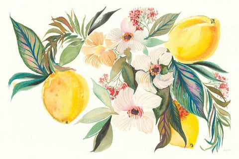 Citrus Summer I White Modern Wood Framed Art Print with Double Matting by Rice, Kristy