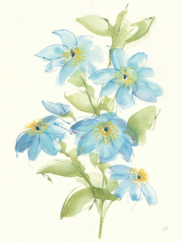 Clematis Bouquet I White Modern Wood Framed Art Print with Double Matting by Paschke, Chris