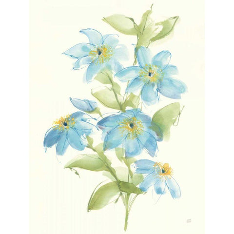 Clematis Bouquet I Black Modern Wood Framed Art Print by Paschke, Chris