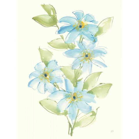 Clematis Bouquet II Black Modern Wood Framed Art Print by Paschke, Chris