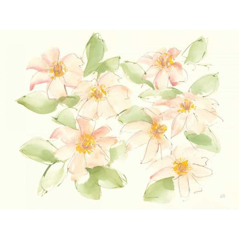 Creme Clematis Gold Ornate Wood Framed Art Print with Double Matting by Paschke, Chris