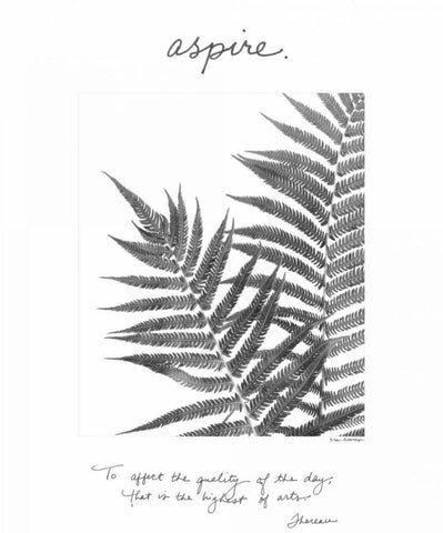 Aspire White Modern Wood Framed Art Print with Double Matting by Van Swearingen, Debra