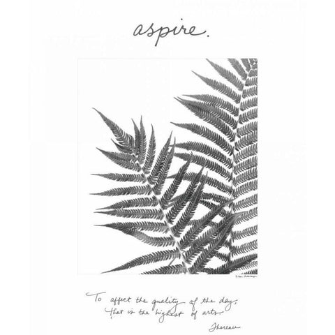 Aspire Black Modern Wood Framed Art Print by Van Swearingen, Debra
