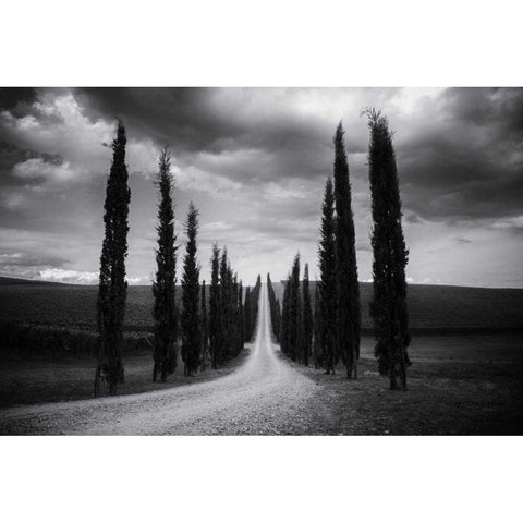 Travelling in Tuscany Black Modern Wood Framed Art Print with Double Matting by Aledanda