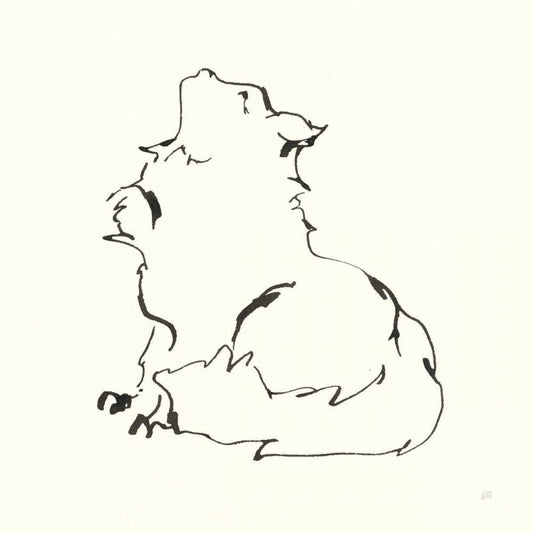 Image Only