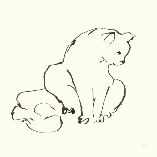 Image Only