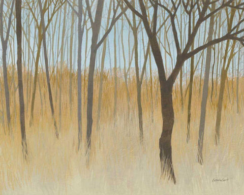Misty Woods White Modern Wood Framed Art Print with Double Matting by Lovell, Kathrine