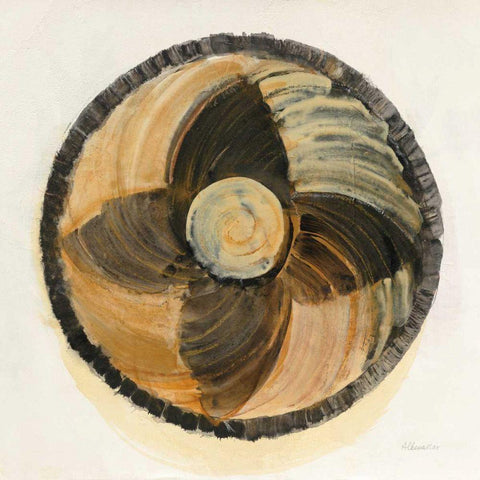 Woven Wonders II Black Ornate Wood Framed Art Print with Double Matting by Hristova, Albena