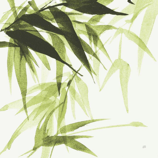 Image Only