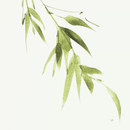 Image Only
