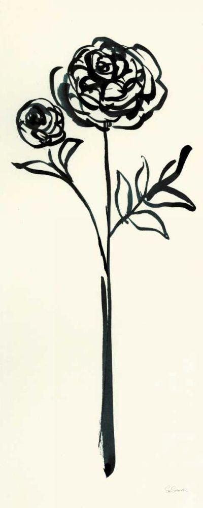 Image Only
