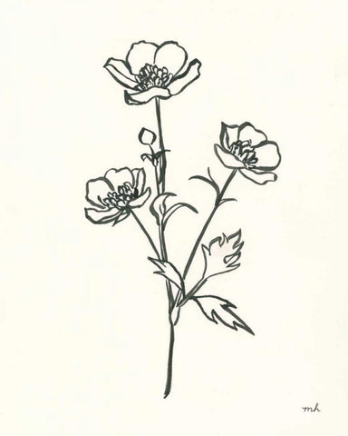 Buttercup Black Ornate Wood Framed Art Print with Double Matting by Hershey, Moira