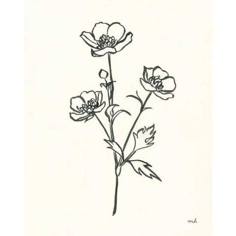 Buttercup Black Modern Wood Framed Art Print with Double Matting by Hershey, Moira