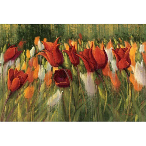 Tipsy Tulips Black Modern Wood Framed Art Print with Double Matting by Novak, Shirley