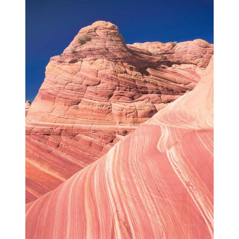 Coyote Buttes I Blush Gold Ornate Wood Framed Art Print with Double Matting by Majchrowicz, Alan