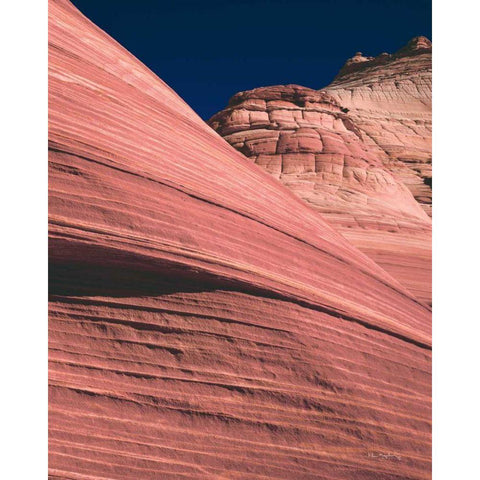 Coyote Buttes II Blush Gold Ornate Wood Framed Art Print with Double Matting by Majchrowicz, Alan