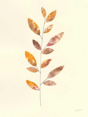 Natural Wonder V Black Ornate Wood Framed Art Print with Double Matting by Prahl, Courtney