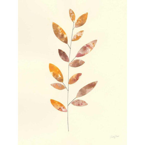 Natural Wonder V White Modern Wood Framed Art Print by Prahl, Courtney