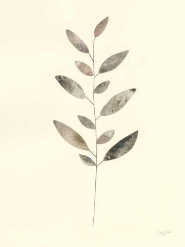 Natural Wonder VI White Modern Wood Framed Art Print with Double Matting by Prahl, Courtney