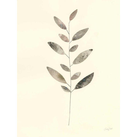 Natural Wonder VI White Modern Wood Framed Art Print by Prahl, Courtney