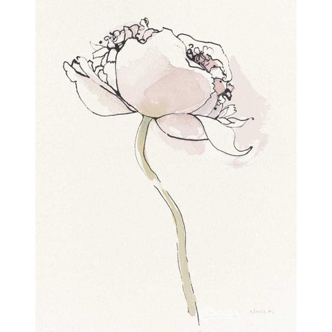 Single Somniferums I Neutral Crop Black Modern Wood Framed Art Print with Double Matting by Novak, Shirley