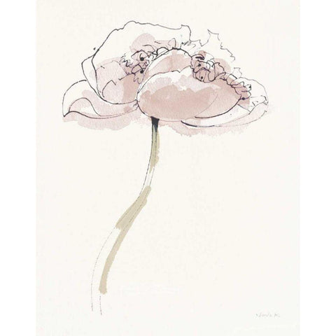 Single Somniferums II Neutral Crop Black Modern Wood Framed Art Print by Novak, Shirley