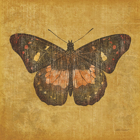 Ochre Butterfly White Modern Wood Framed Art Print with Double Matting by Pertiet, Katie