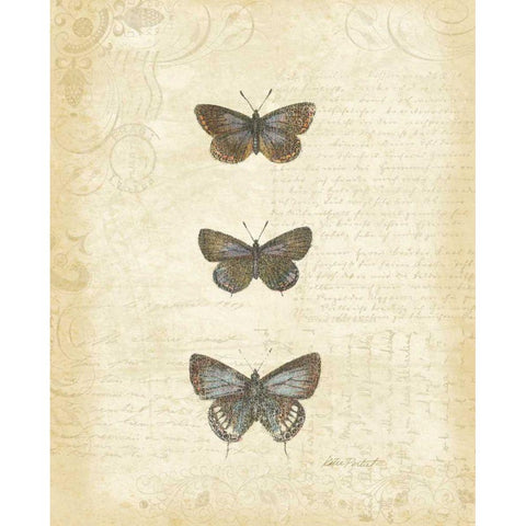 Botanical Butterflies II Black Modern Wood Framed Art Print with Double Matting by Pertiet, Katie