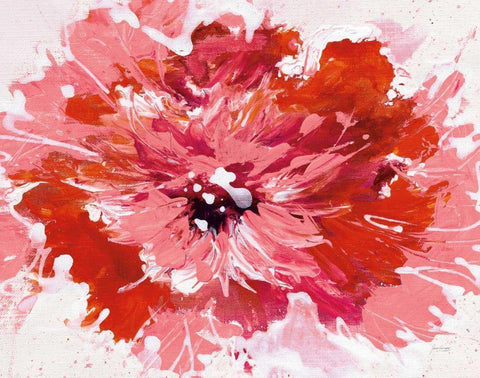 Color in Bloom White Modern Wood Framed Art Print with Double Matting by Griggs, Jan