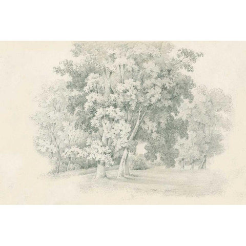 Edge of the Woods Sketch Black Modern Wood Framed Art Print by Wild Apple Portfolio