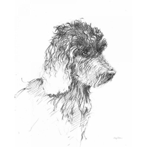 Labradoodle Sketch Gold Ornate Wood Framed Art Print with Double Matting by Tillmon, Avery