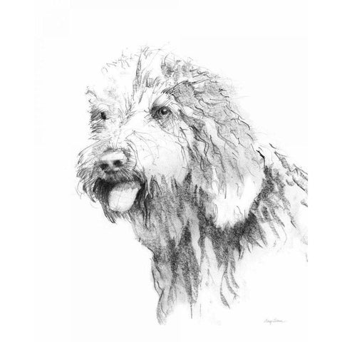 Goldendoodle Sketch Black Modern Wood Framed Art Print with Double Matting by Tillmon, Avery