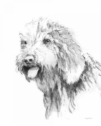 Goldendoodle Sketch Black Ornate Wood Framed Art Print with Double Matting by Tillmon, Avery