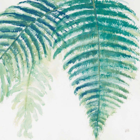 Ferns III Square Cool White Modern Wood Framed Art Print with Double Matting by Paschke, Chris
