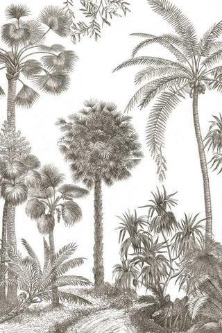 Palm Oasis I Black Ornate Wood Framed Art Print with Double Matting by Wild Apple Portfolio