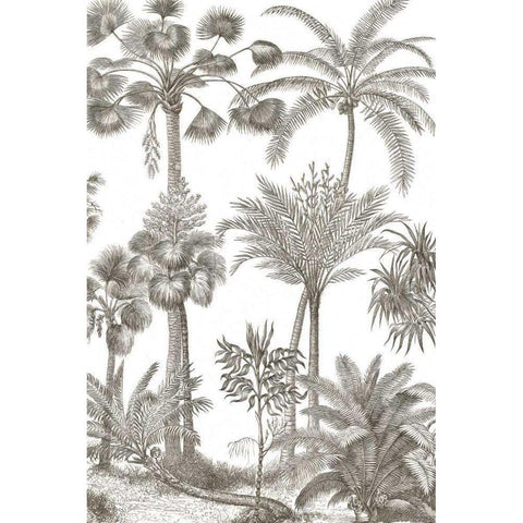 Palm Oasis II Black Modern Wood Framed Art Print with Double Matting by Wild Apple Portfolio