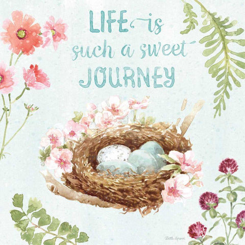 Sweet Bunnies VII Black Ornate Wood Framed Art Print with Double Matting by Grove, Beth