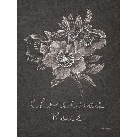 Black and White Chalkboard Christmas III Black Modern Wood Framed Art Print with Double Matting by Grove, Beth