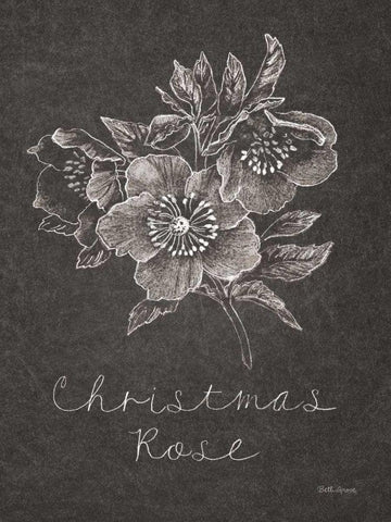 Black and White Chalkboard Christmas III Black Ornate Wood Framed Art Print with Double Matting by Grove, Beth