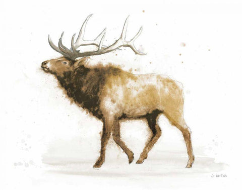 Elk v2 Warm White Modern Wood Framed Art Print with Double Matting by Wiens, James