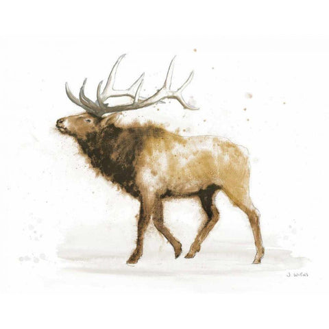 Elk v2 Warm Gold Ornate Wood Framed Art Print with Double Matting by Wiens, James