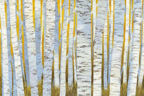 Aspen Grove Black Ornate Wood Framed Art Print with Double Matting by Lovell, Kathrine