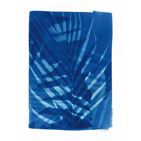 Cyanotype Tropical I Black Modern Wood Framed Art Print by Green, Nancy