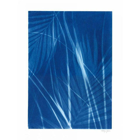 Cyanotype Tropical II Black Modern Wood Framed Art Print with Double Matting by Green, Nancy