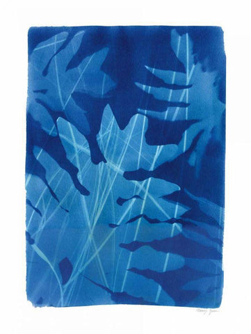 Cyanotype Tropical V Black Ornate Wood Framed Art Print with Double Matting by Green, Nancy